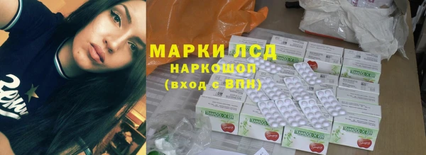 ГАЛЛЮЦИНОГЕННЫЕ ГРИБЫ Остров
