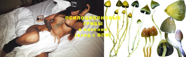 стафф Осинники