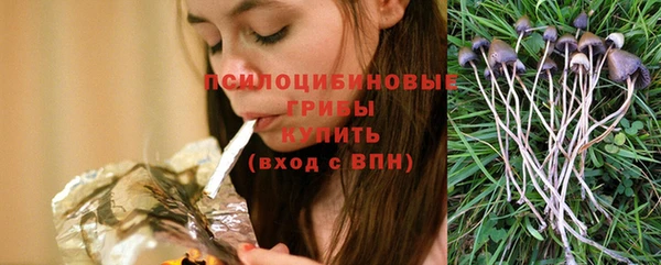 ГАЛЛЮЦИНОГЕННЫЕ ГРИБЫ Остров