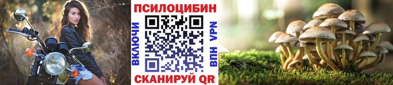 Галлюциногенные грибы прущие грибы Приозерск